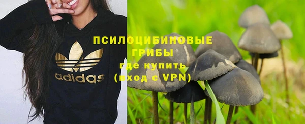 бошки Осинники