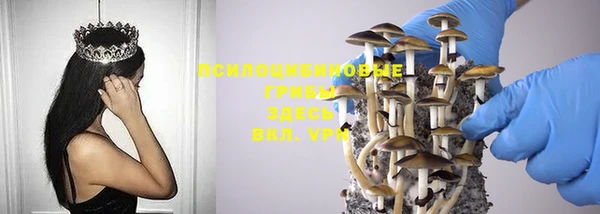дмт Няндома