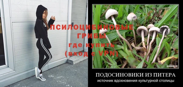 ECSTASY Нефтекумск