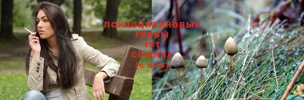 бошки Осинники