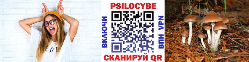 Галлюциногенные грибы GOLDEN TEACHER  где продают   Белгород 