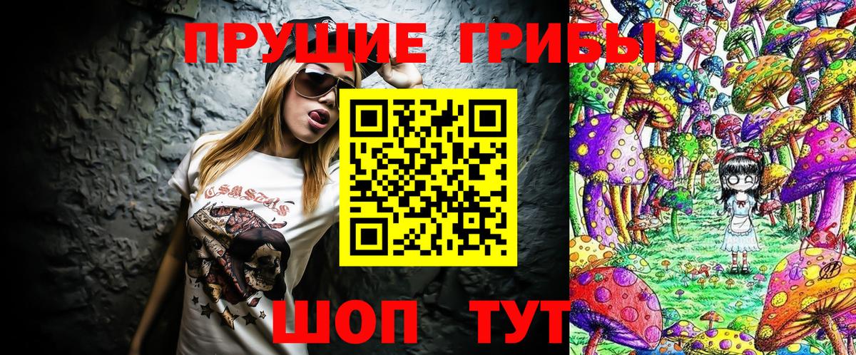 Галлюциногенные грибы Psilocybine cubensis Белгород