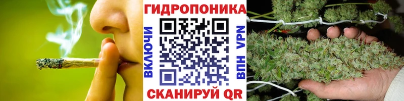 Канабис семена  где купить наркоту  Белгород 